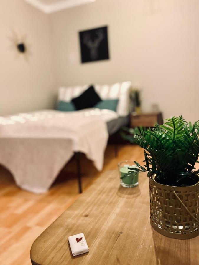 Saniertes Studio - Elisa - Mit Balkon, Wlan, Smart-Tv & Kueche In City-Naehe Erfurt Ngoại thất bức ảnh