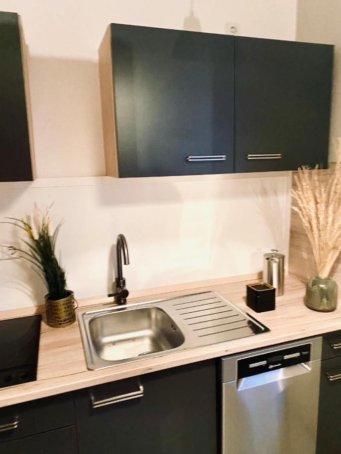 Saniertes Studio - Elisa - Mit Balkon, Wlan, Smart-Tv & Kueche In City-Naehe Erfurt Ngoại thất bức ảnh